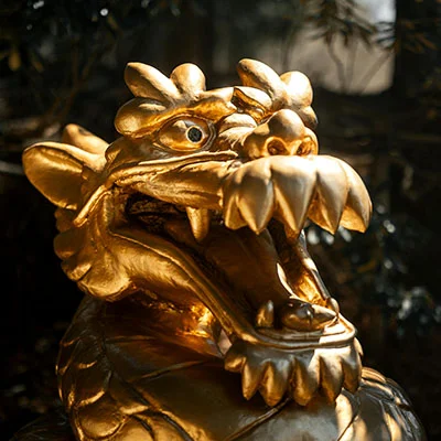 符合动物医院法定条件是什么意思啊（符合动物医院法定条件的是）